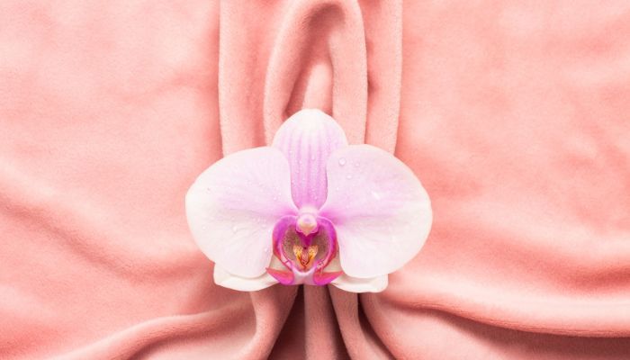 Sự thay đổi của âm đạo sau sinh