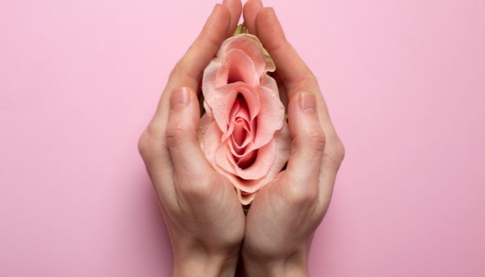Cấu tạo âm dạo cảu phụ nữ