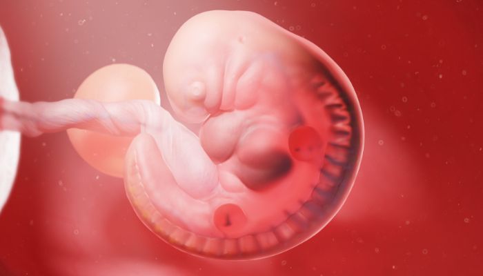 những thói quen làm giảm khả năng sinh sản