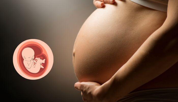 Mang thai có nên quan hệ tình dục không?