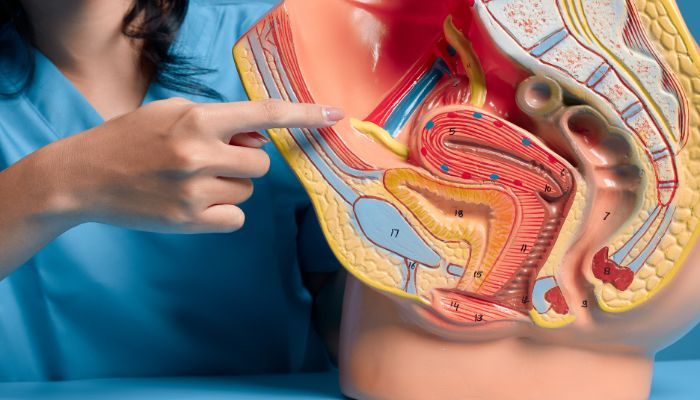 Sức khỏe sinh sản ở nam giới