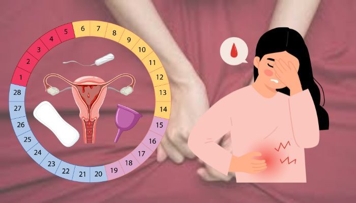 Thủ dâm có ảnh hưởng đến chu kỳ kinh nguyệt không?